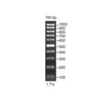 100bp DNA Marker - Image 2