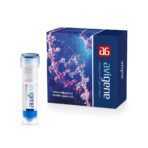 100bp DNA Marker - Image 4