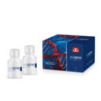 TAE Buffer - Image 3