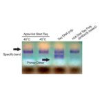 AviCHot™ - Image 2