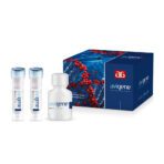 AviBiCiA™ - Image 2