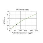 AviBiCiA™ - Image 3