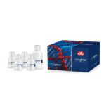 AviDex™ Blood DNA - Image 2