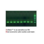 AviStain™ - Image 2