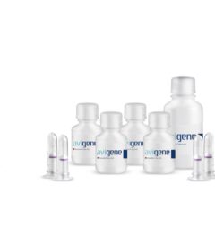 Tissue DNA extraction kit