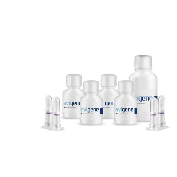 Tissue DNA extraction kit