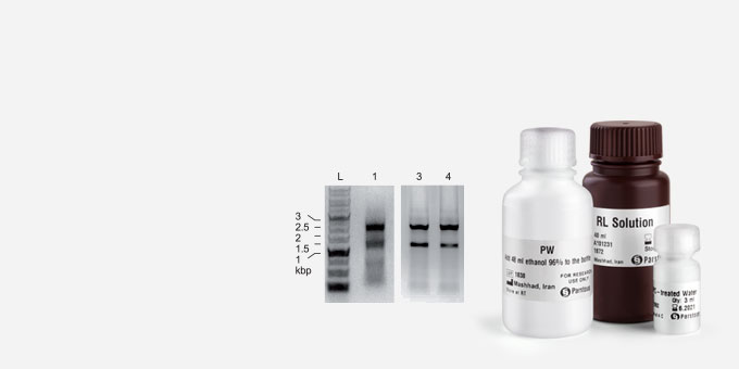 Total-RNA-extraction-Kit-3