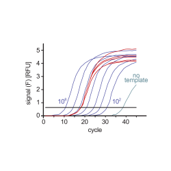 2X-SYBR®-Green-Real-Time-PCR-