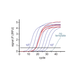 SYBR Green Master Mix PCR