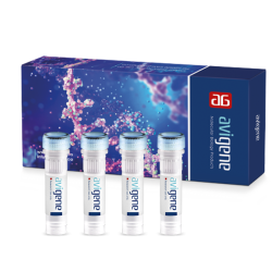 AviCidi™-(cDNA-Synthesis-Kit)