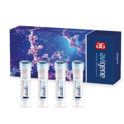 AviCidi™-(cDNA-Synthesis-Kit)